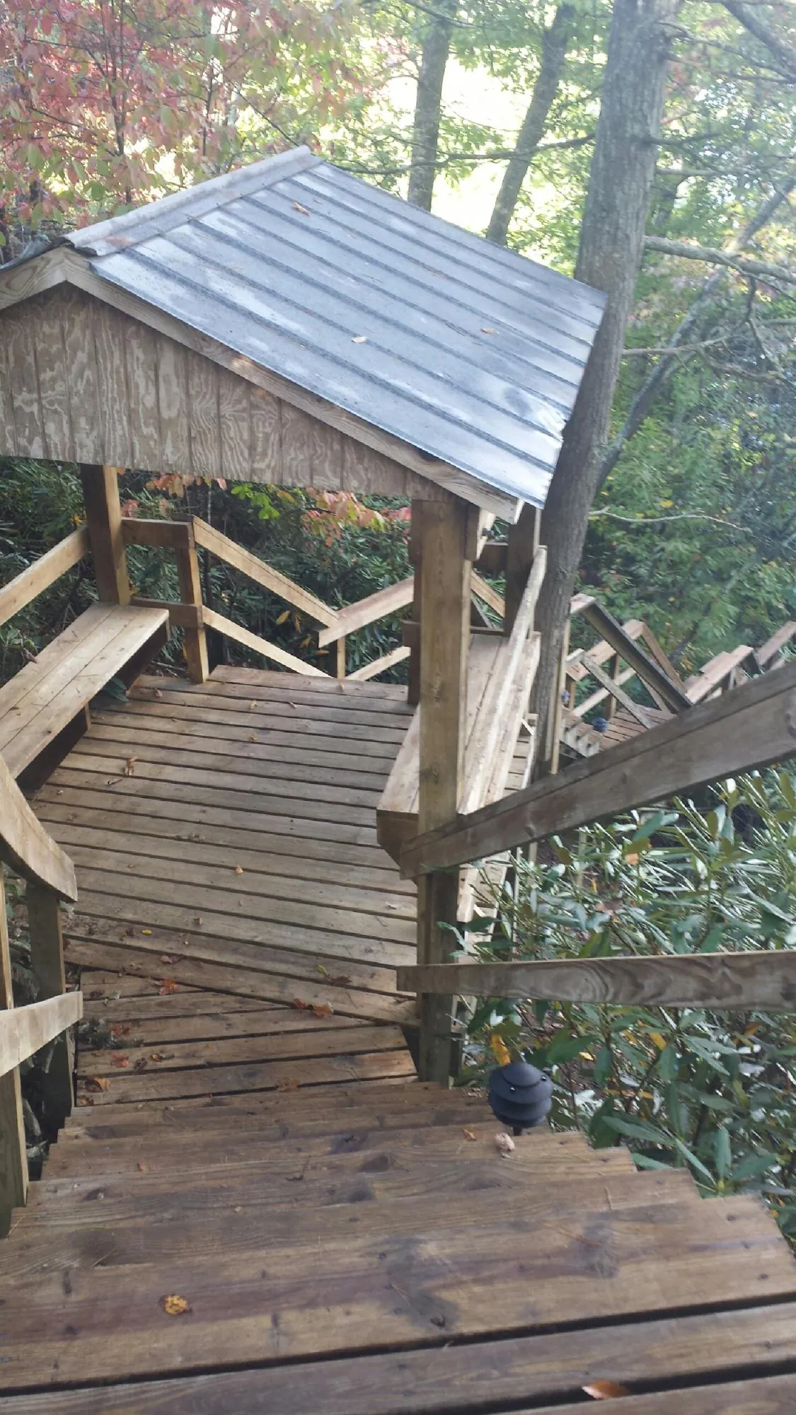Metal roofed shelter over wooden steps on a wooded walkway — Skylight Repair & Installation work by our crew in Bryant